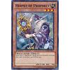Hermit of Prophecy (Yugioh Abyss Rising)