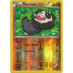 Pancham (Pokemon XY BREAKpoint)