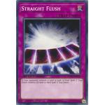 Straight Flush (Yugioh Speed Duel: GX Duel Academy Box)