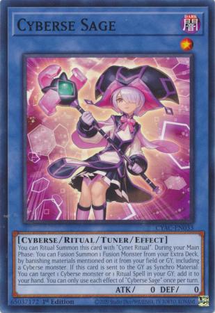 Cyberse Sage (Yugioh Cyberstorm Access)