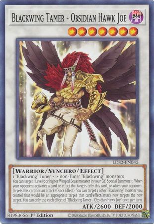 Blackwing Tamer - Obsidian Hawk Joe (Yugioh Legendary Duelists: Season 2)