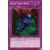 Acid Trap Hole (Yugioh Speed Duel: Battle City Box)